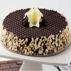Chocolate cake with cashew nuts